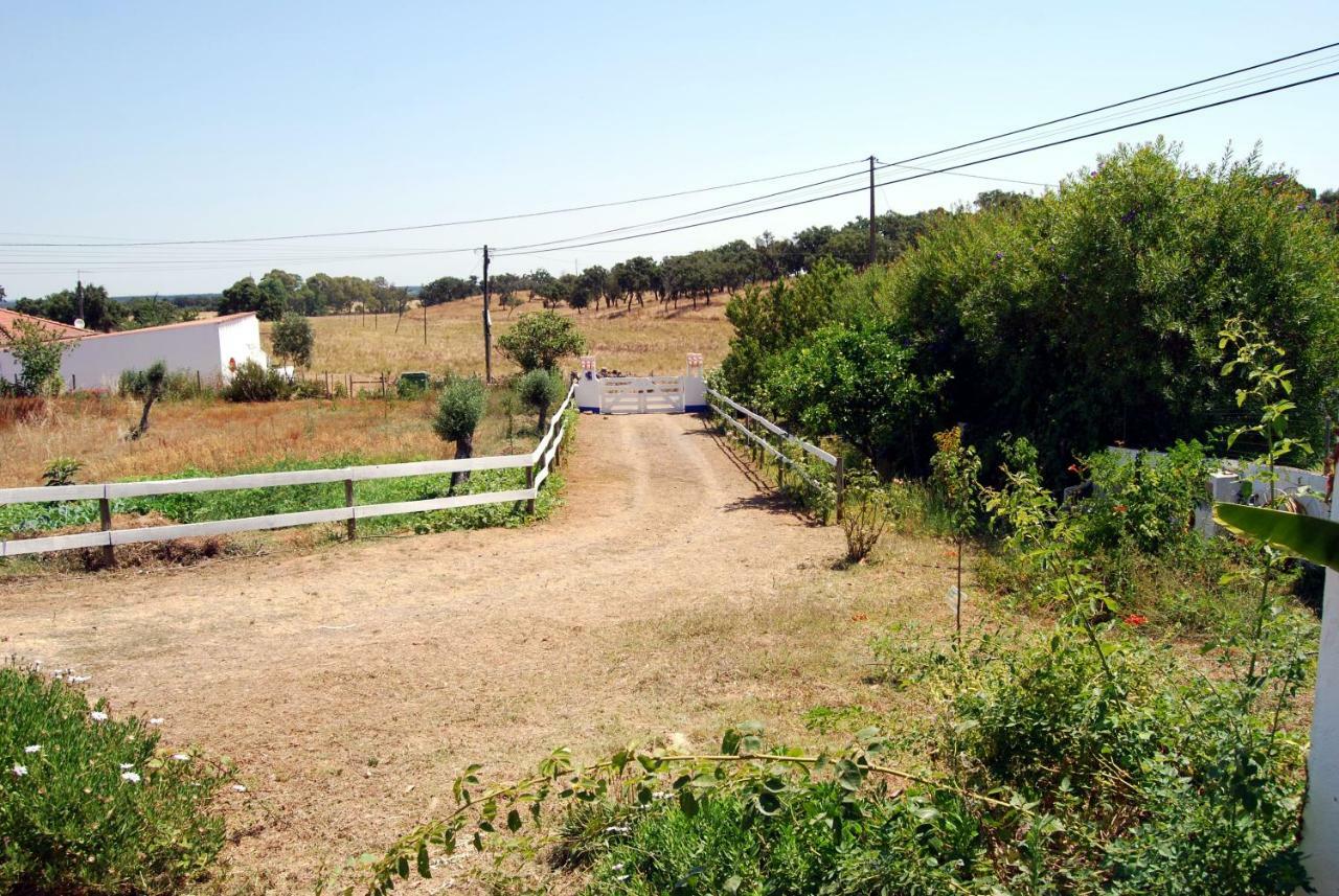 Vila Monte Das Silveirinhas - Casa Rural Charnequinha Silveiras Exteriér fotografie